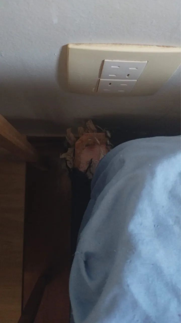 Cama casal - Foto 4