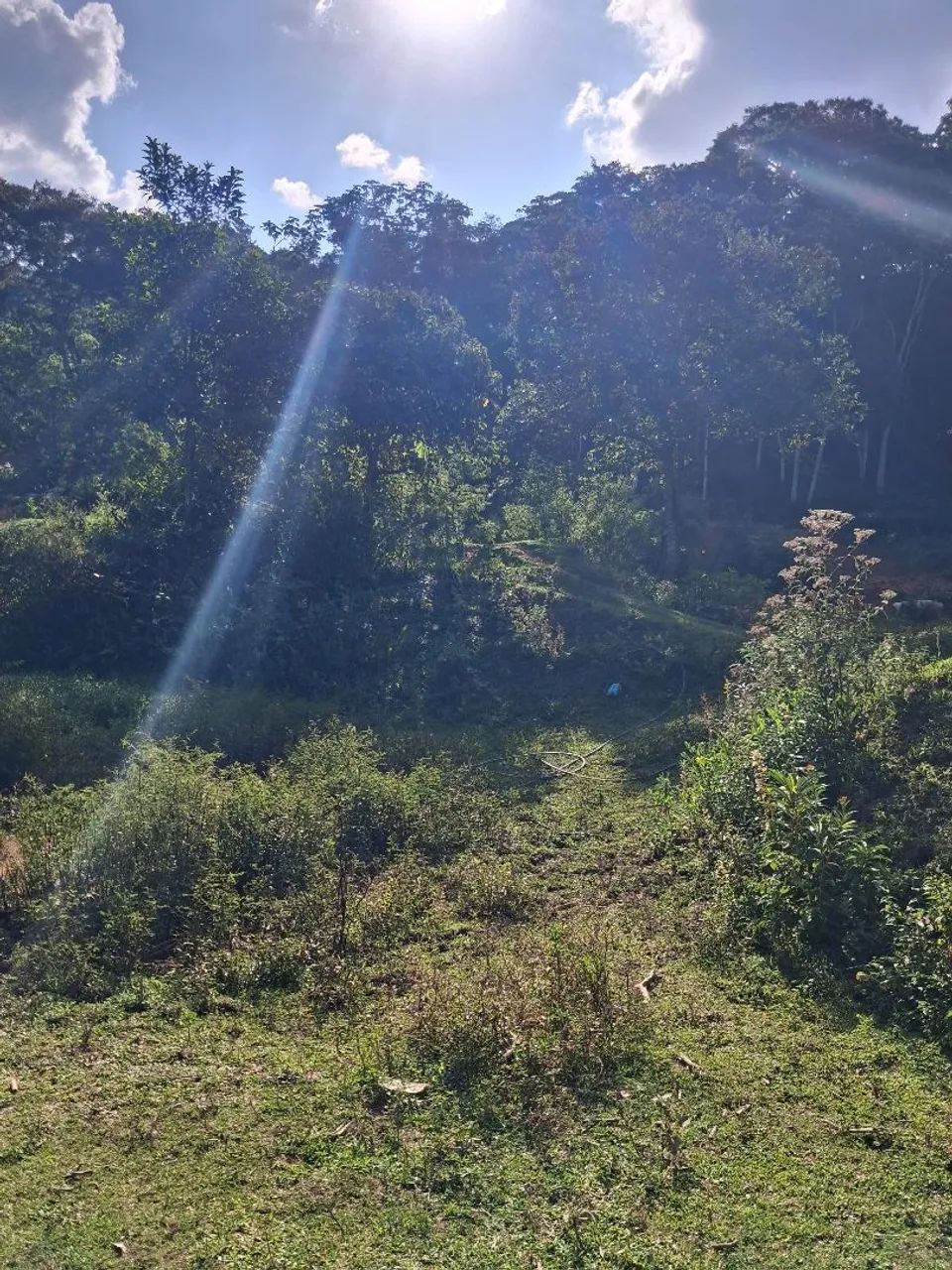 Foto - Santa Isabel - 