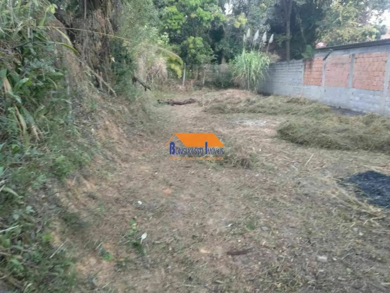 terreno bairro Jaqueline em Belo Horizonte