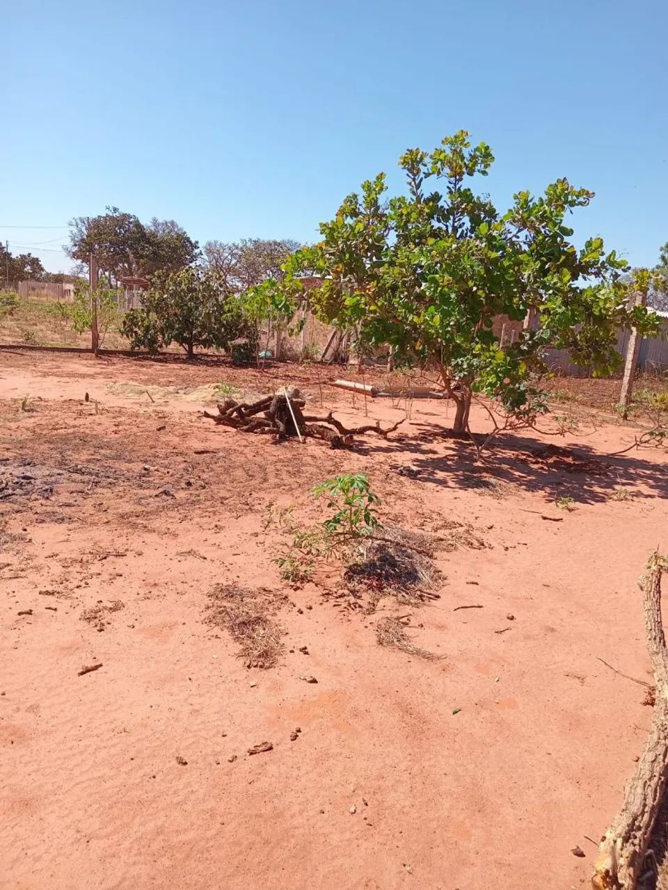 Vendo chácara no Recanto dos Ipês  - Foto 2