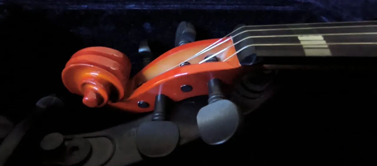 Violino Zelmer  - Foto 4