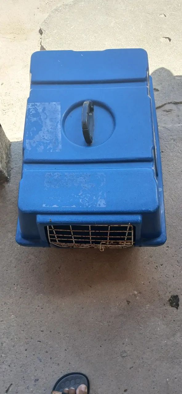 Caixa de viagem para pet - Foto 4