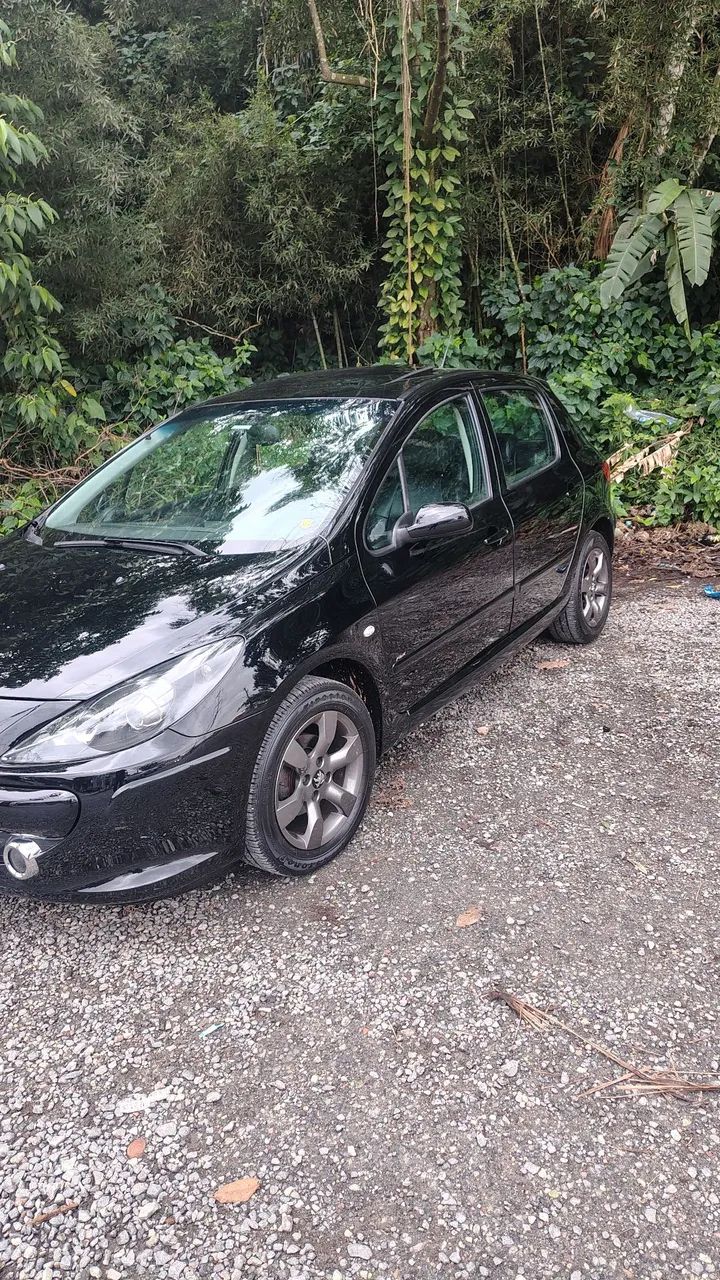 Peugeot 307 PRESENCE 1.6 16V 2009