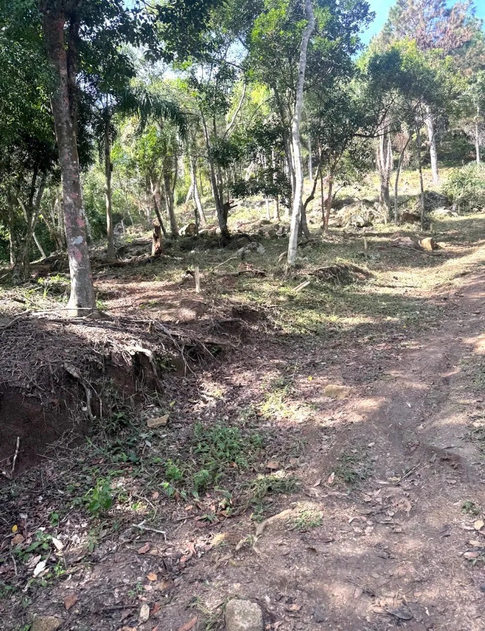 TERRENO NA VARGEM GRANDE - | FLORIPA - Foto 2