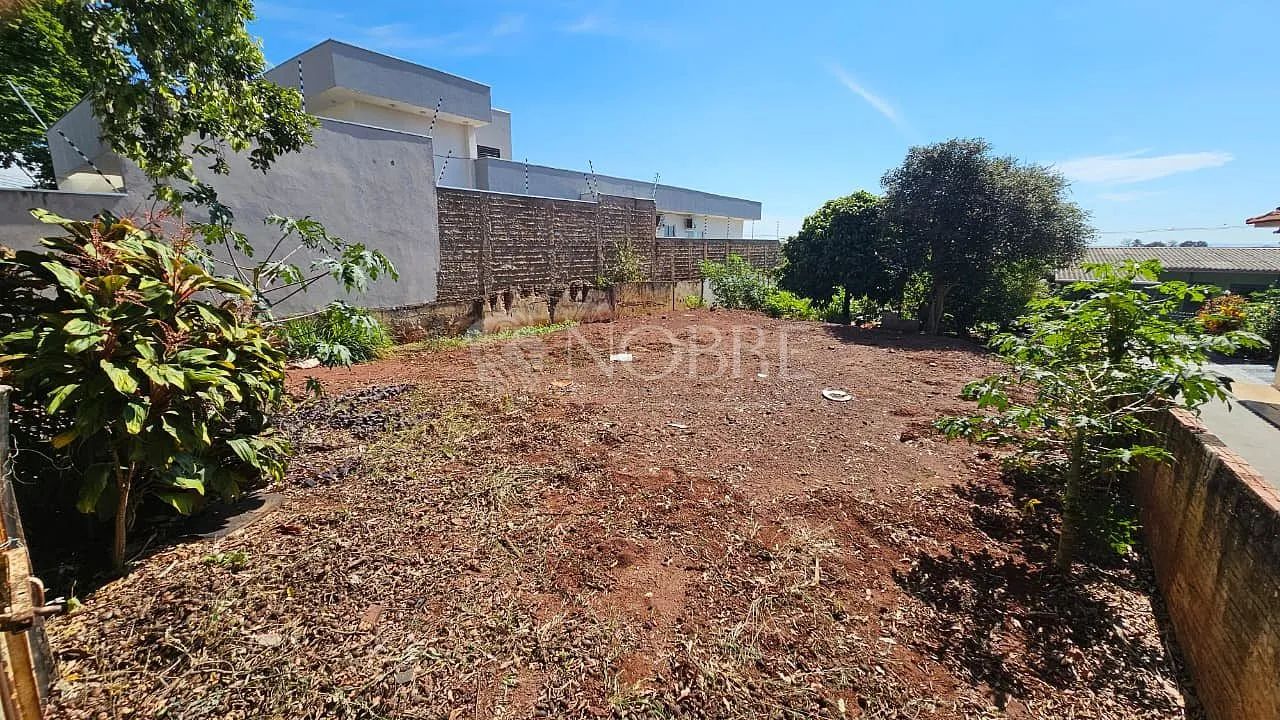 Terreno Rua Quito - Vila Morangueira - Foto 2