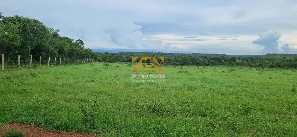 Fazenda com 53,5 Alqueires - Zona Rural - Aparecida do Rio Negro/TO - Foto 12