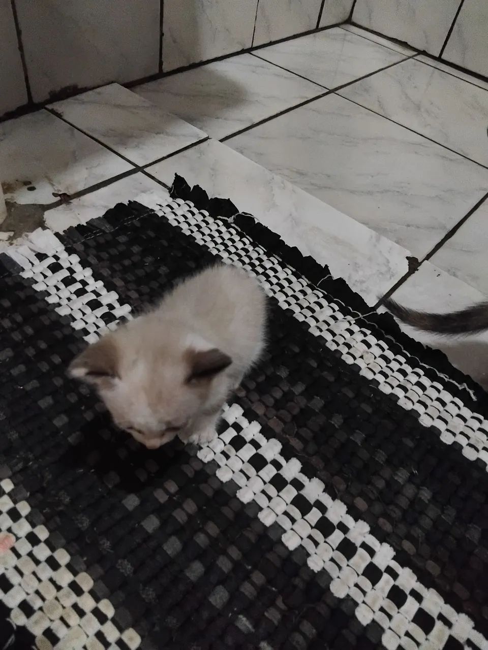 Doação  - Foto 4