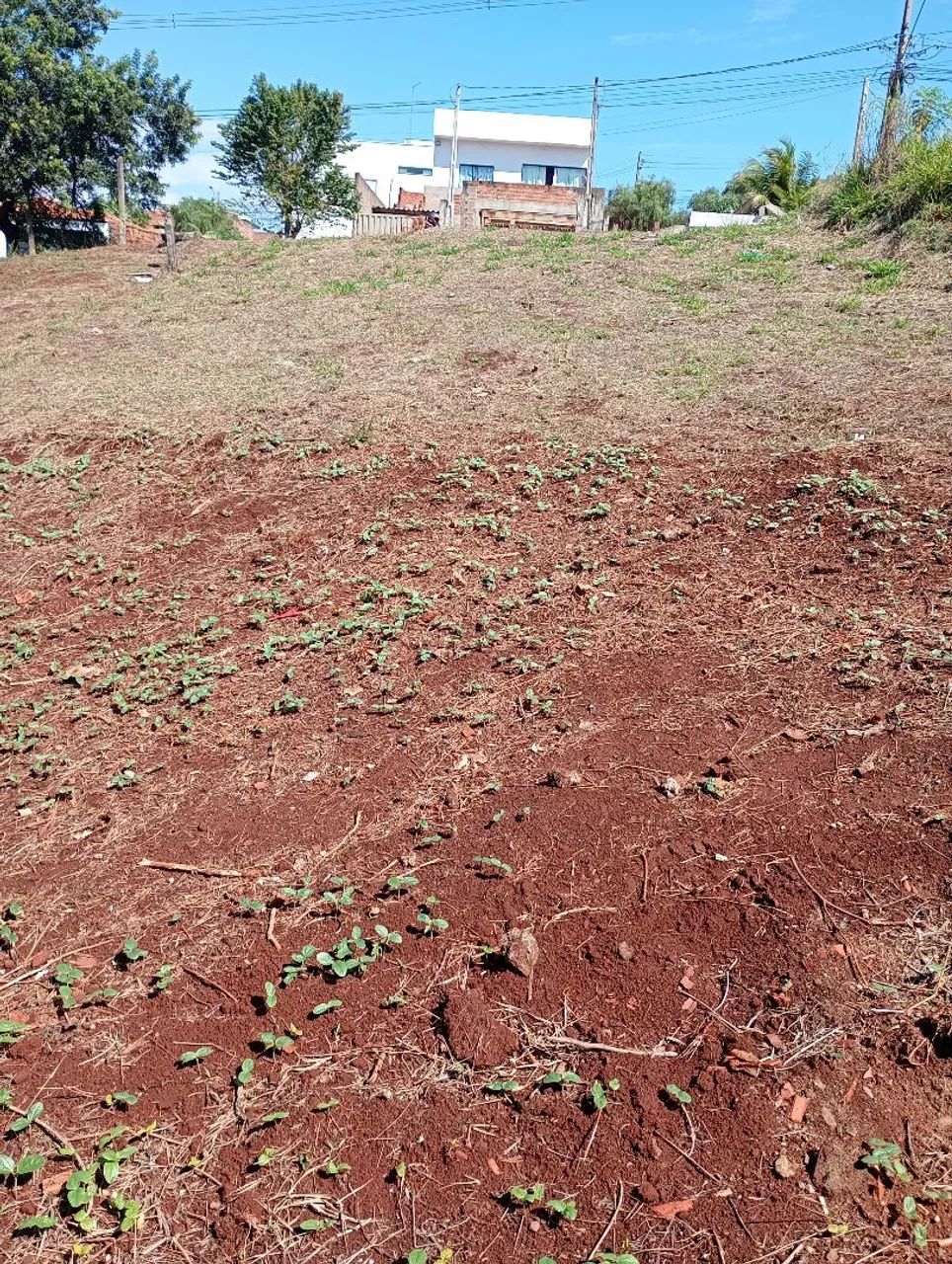 Terreno à venda - Foto 2
