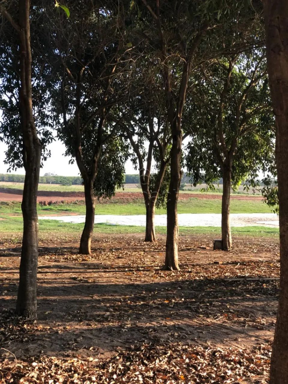 Terreno Condomínio - Foto 4