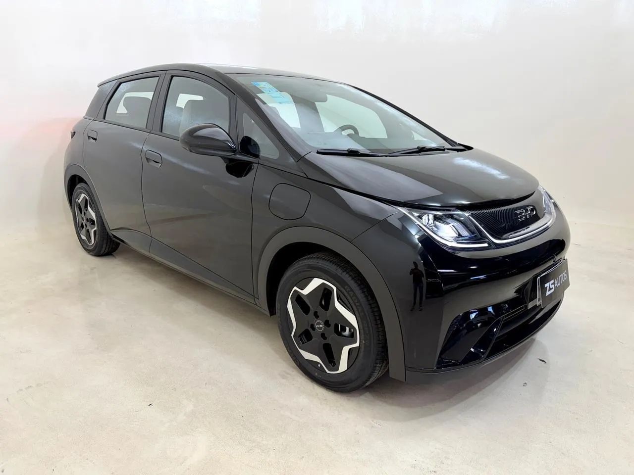 BYD Dolphin EV (Elétrico) 2024