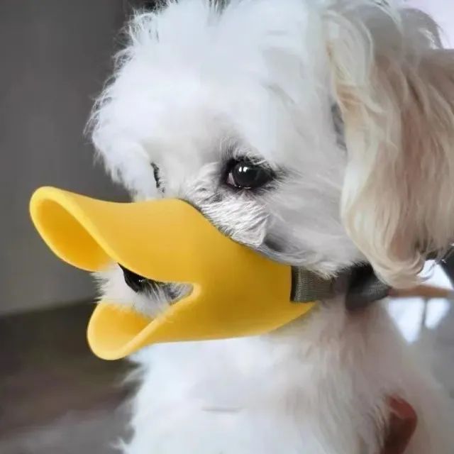 Focinheira Bico De Pato Silicone Cachorro