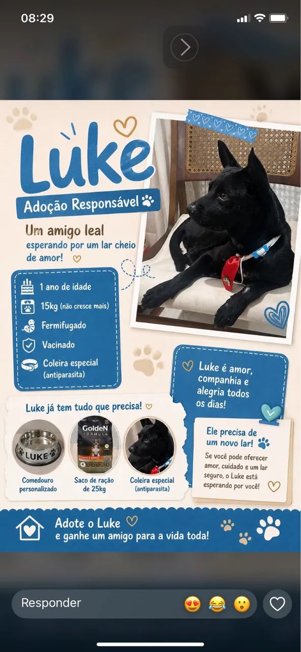 Doação responsável 