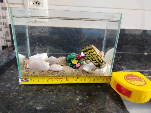 Aquario de 2 litros - Foto 4