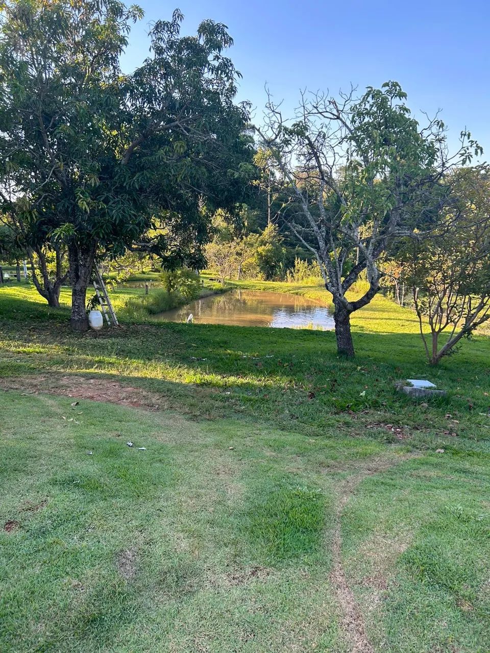 Vende chácara perto Guapó  - Foto 2