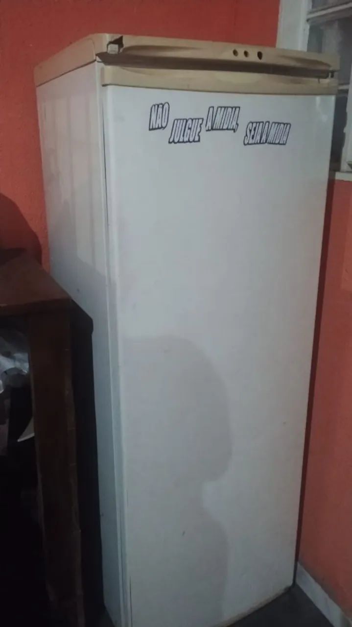 Vendo geladeira  - Foto 2