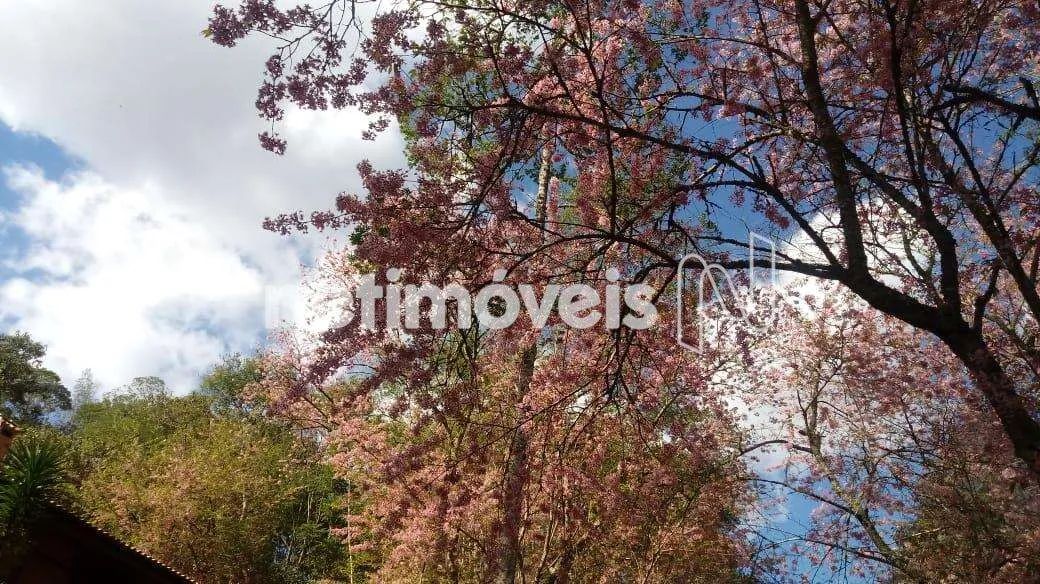 Venda Sítio Cuiabá Petrópolis - Foto 3