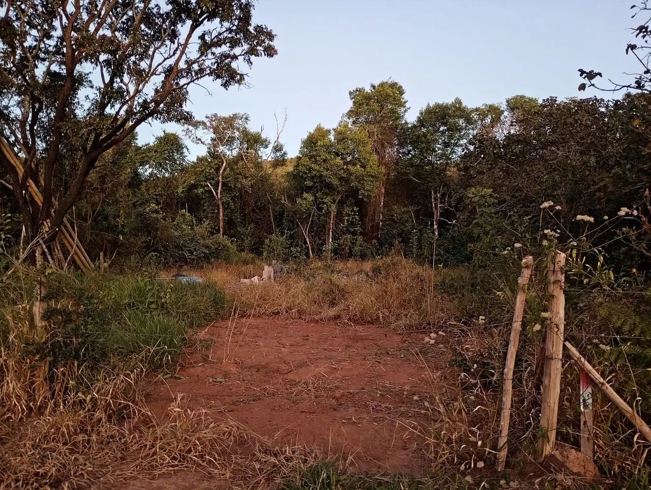 Lote próximo a cajuru - Foto 3