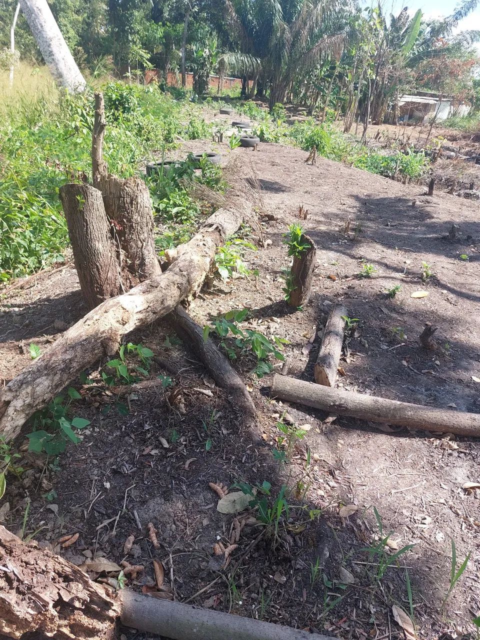 Terreno para chácara 