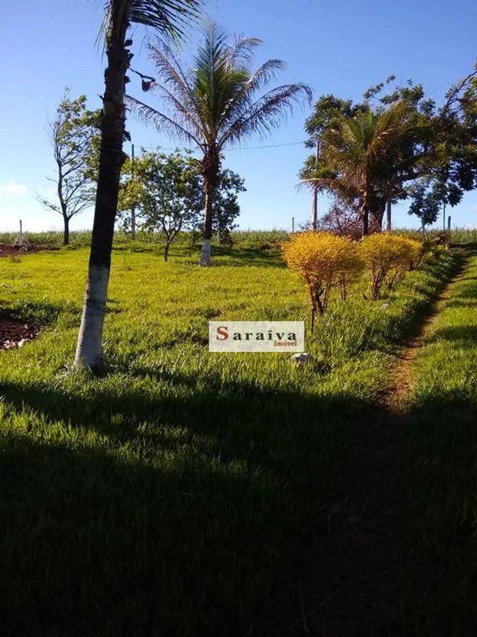 Chácara com 3 dormitórios à venda, 24000 m² por R$ 575.000,00 - Rodovia - Itapuí/SP - Foto 3