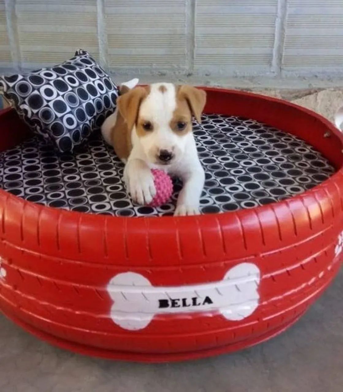 Cama pet