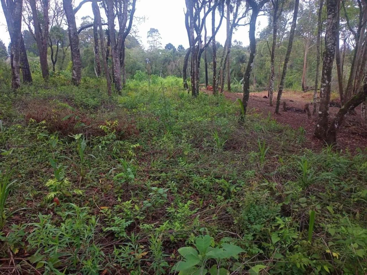 Terreno para Venda em Ibiúna, Sorocamirim - Foto 2