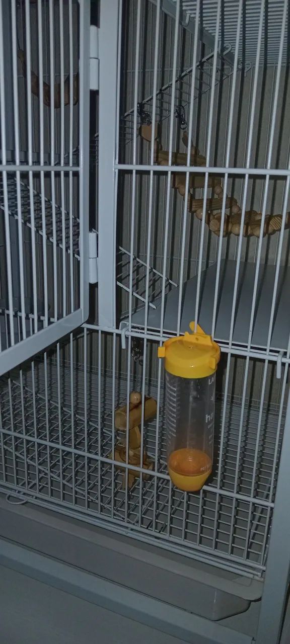 GAIOLA GAIOPAR 295 PARA RATOS TWISTERS - SEMI NOVA - Foto 3