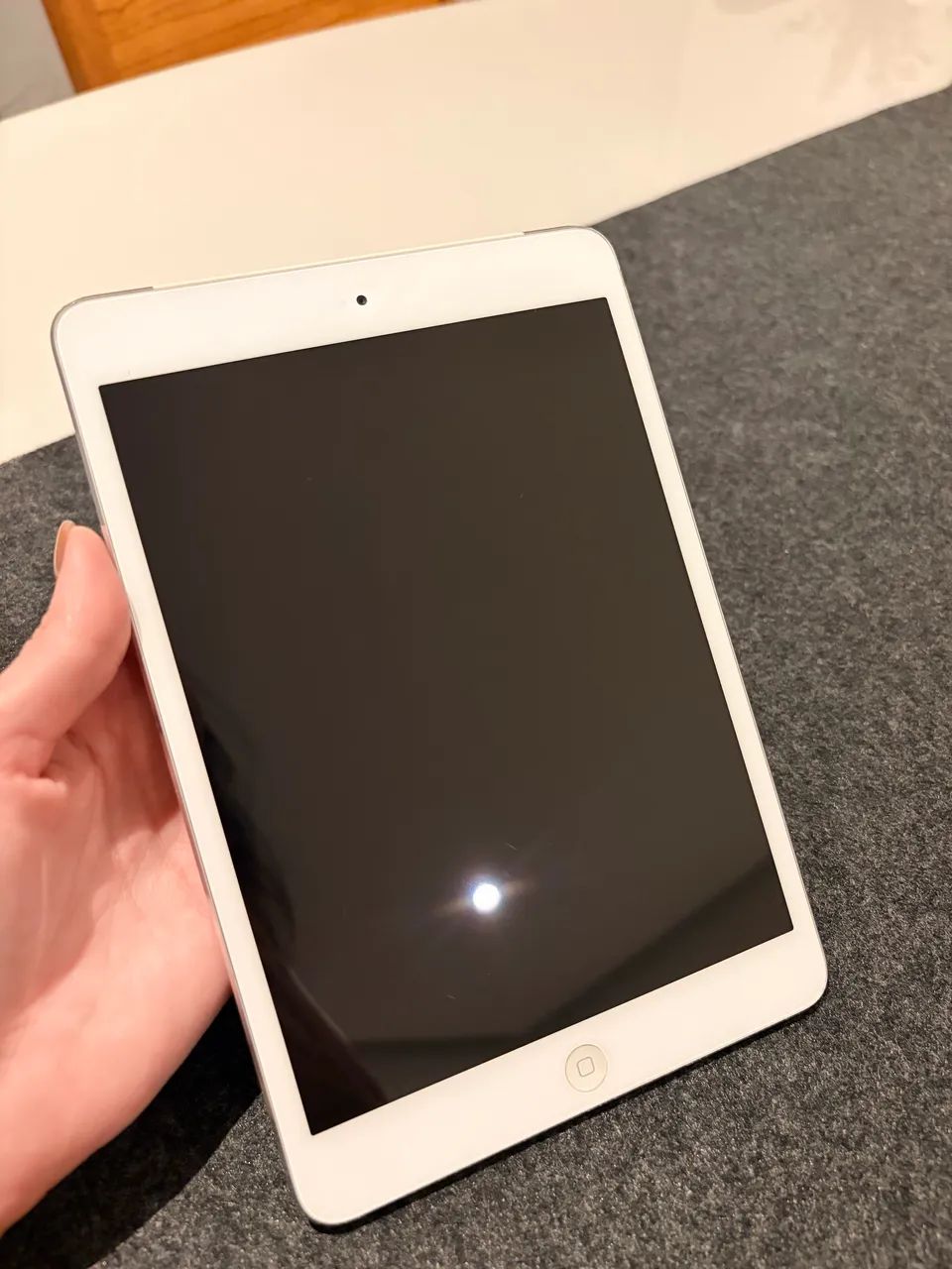 Ipad Mini Wifi + Cellular 1a geração