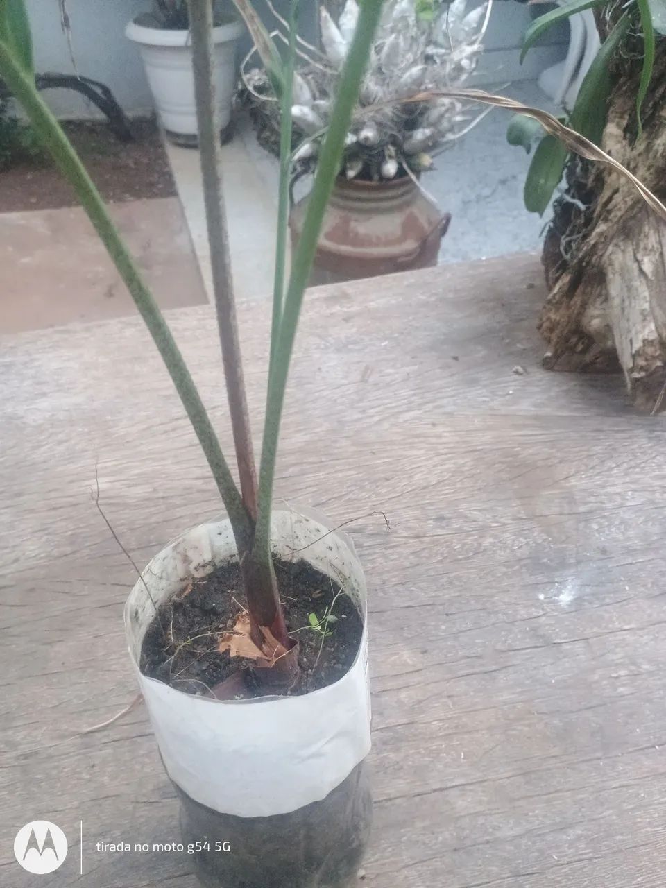 Vendo  - Foto 2