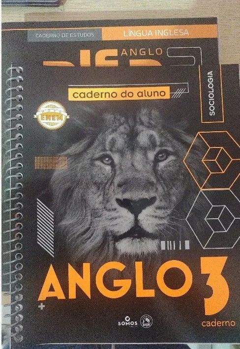 apostilas do cursinho anglo completa - semi usados65126367522819122