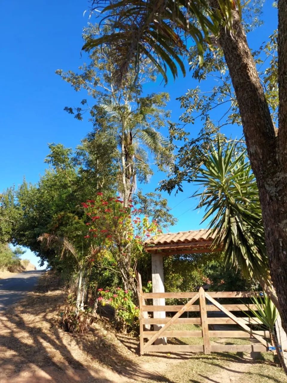 Chácara Sul de Minas  - Foto 4