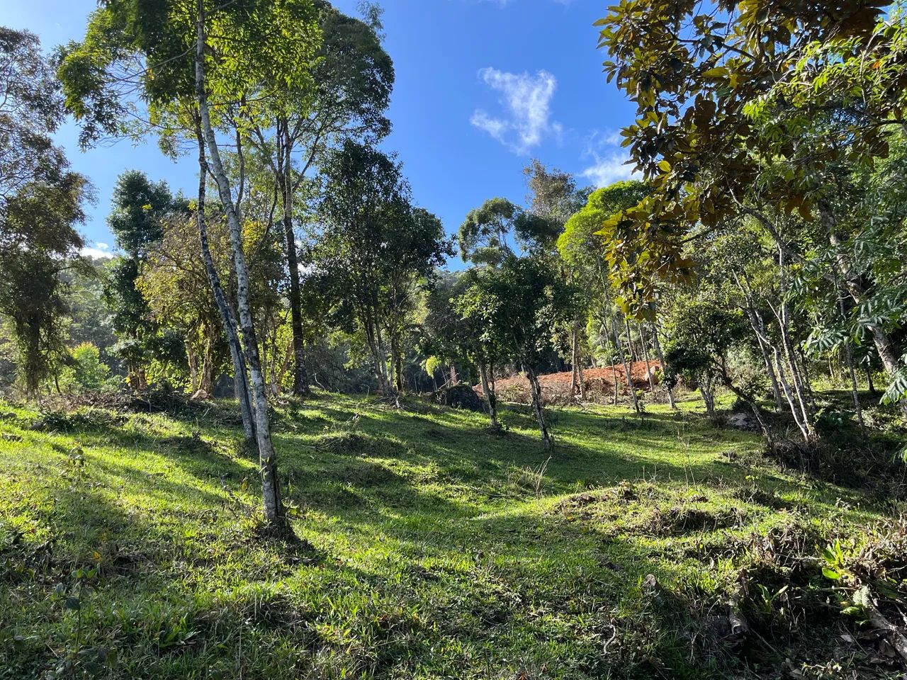 Sítio  São Bonifácio  - Foto 3
