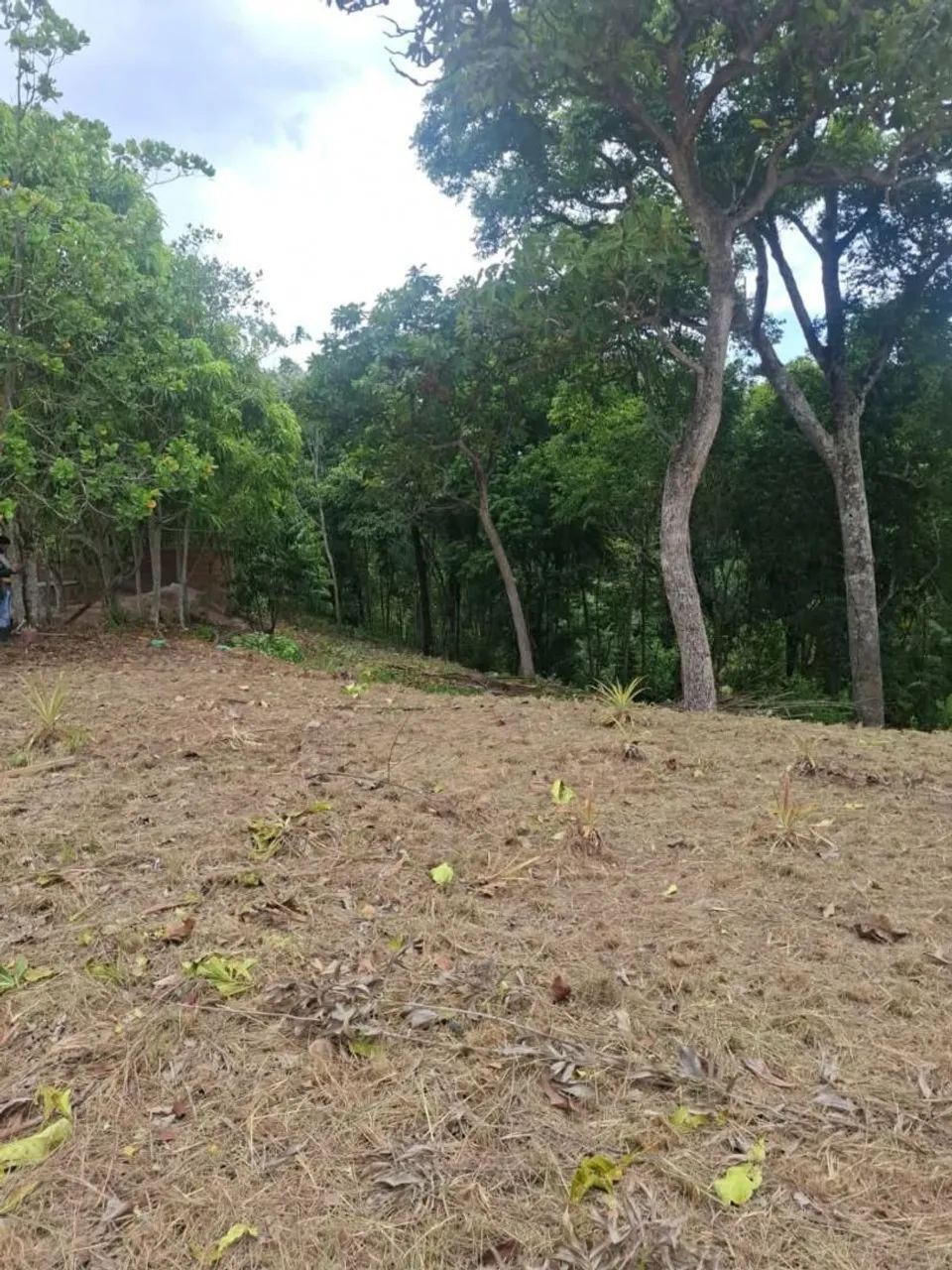 Terreno - Foto 4