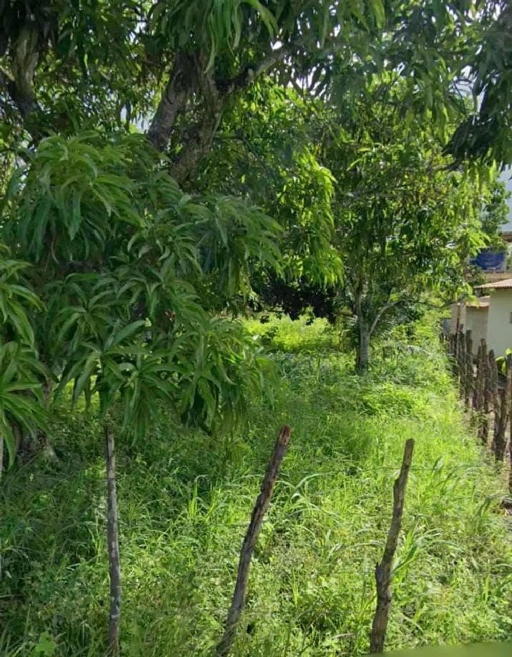 TERRENO A VENDA - Foto 4