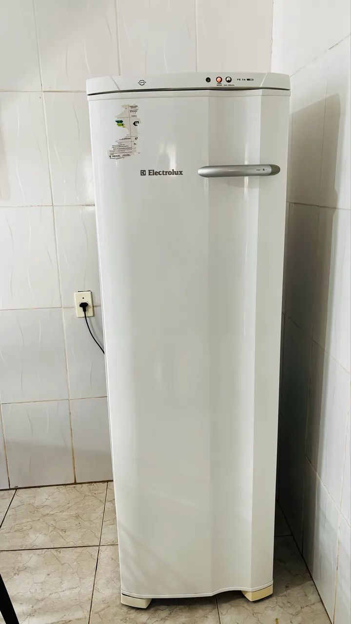 Freezer Vertical 
