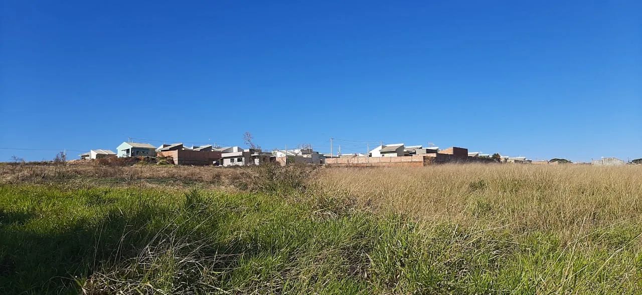 Cidade de Jacarezinho - Foto 5