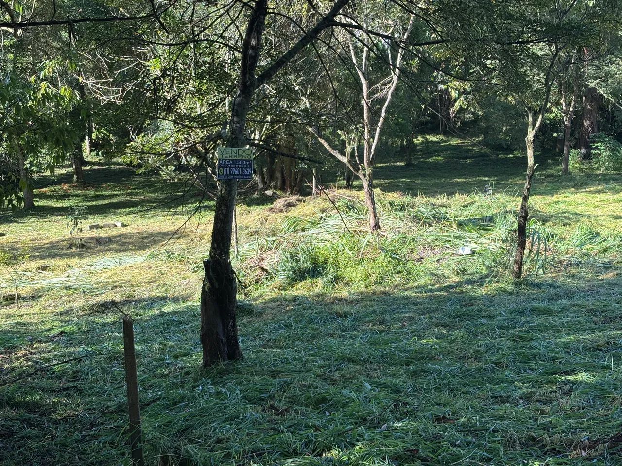 Terreno para construir/investir - Foto 3