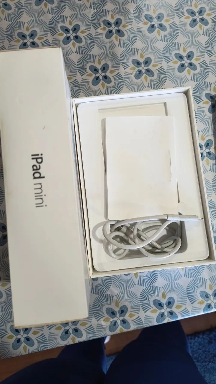 iPad mini 1