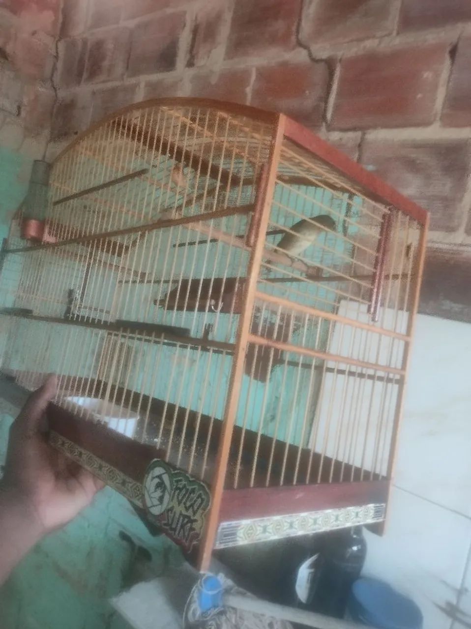 Gaiola 