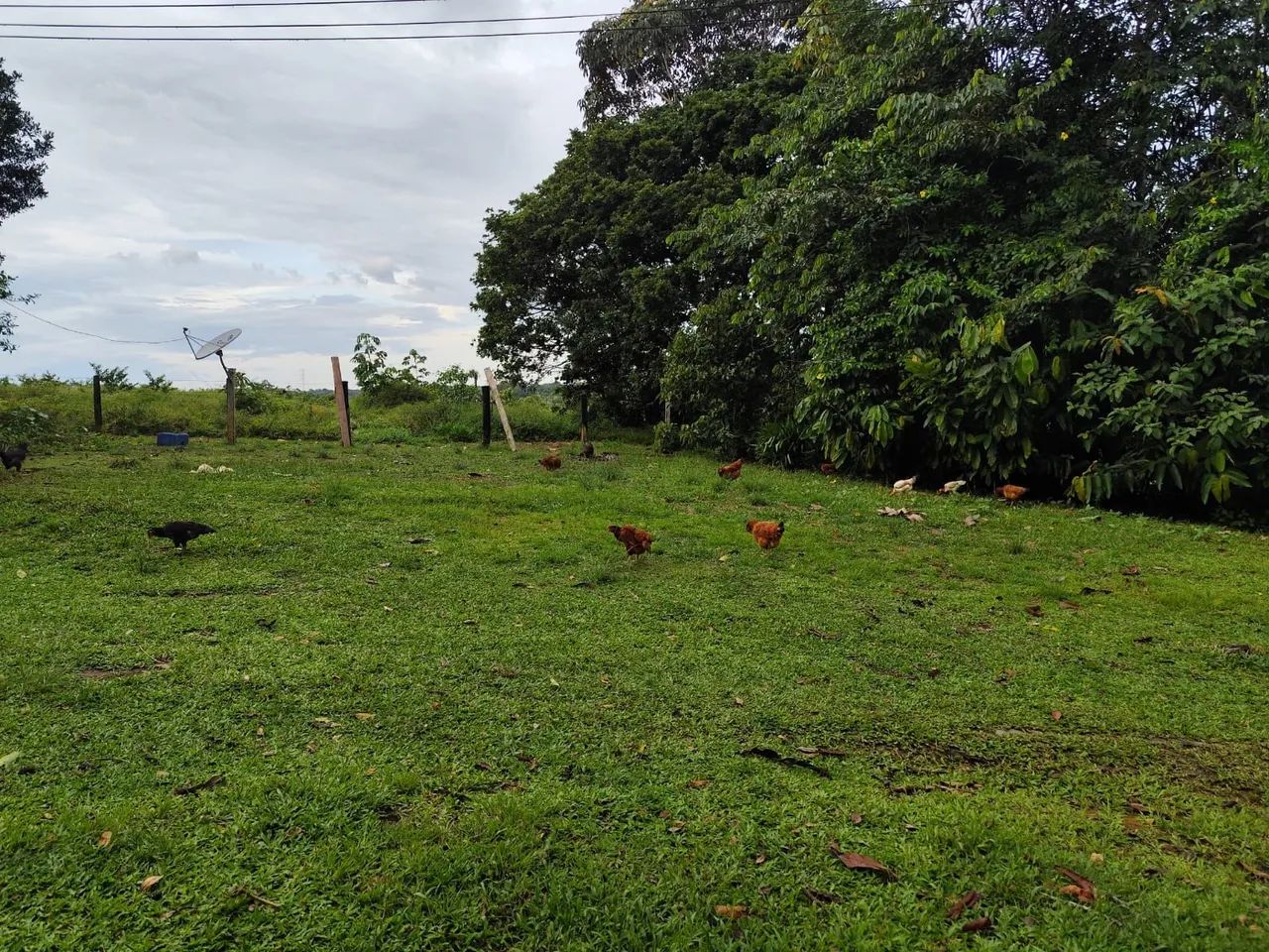 Fazenda - Foto 5
