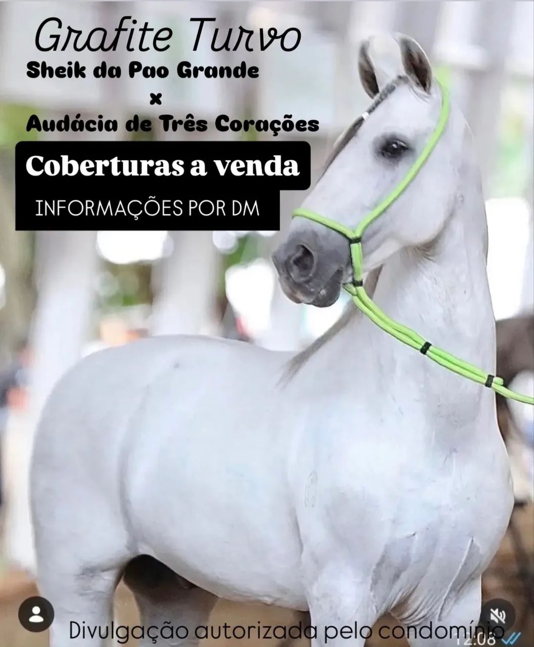 Oportunidade 
