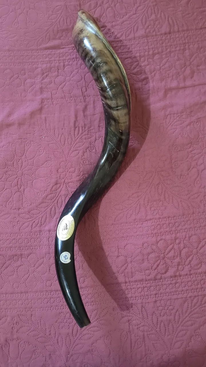 Shofar de Antilope - Foto 2