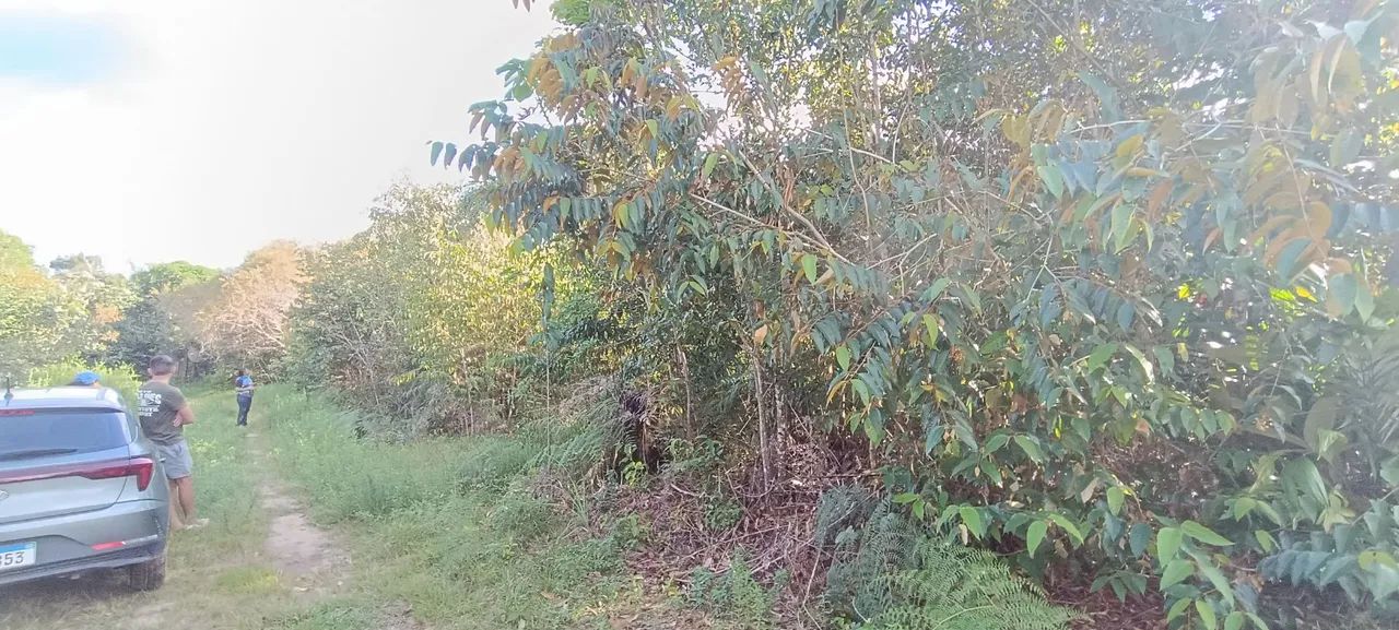 Terreno disponível para venda - Foto 4