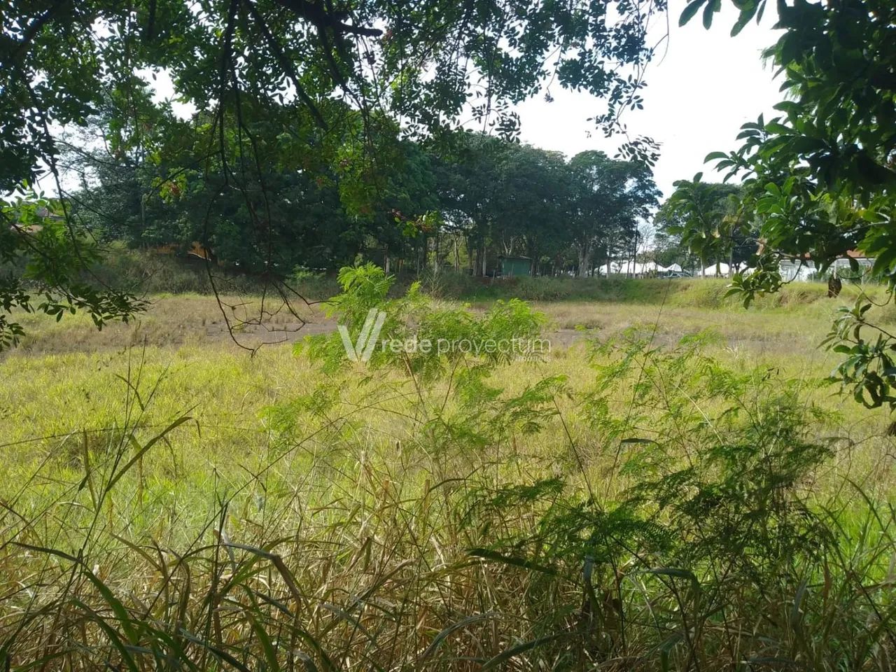 área - Barão Geraldo - Campinas