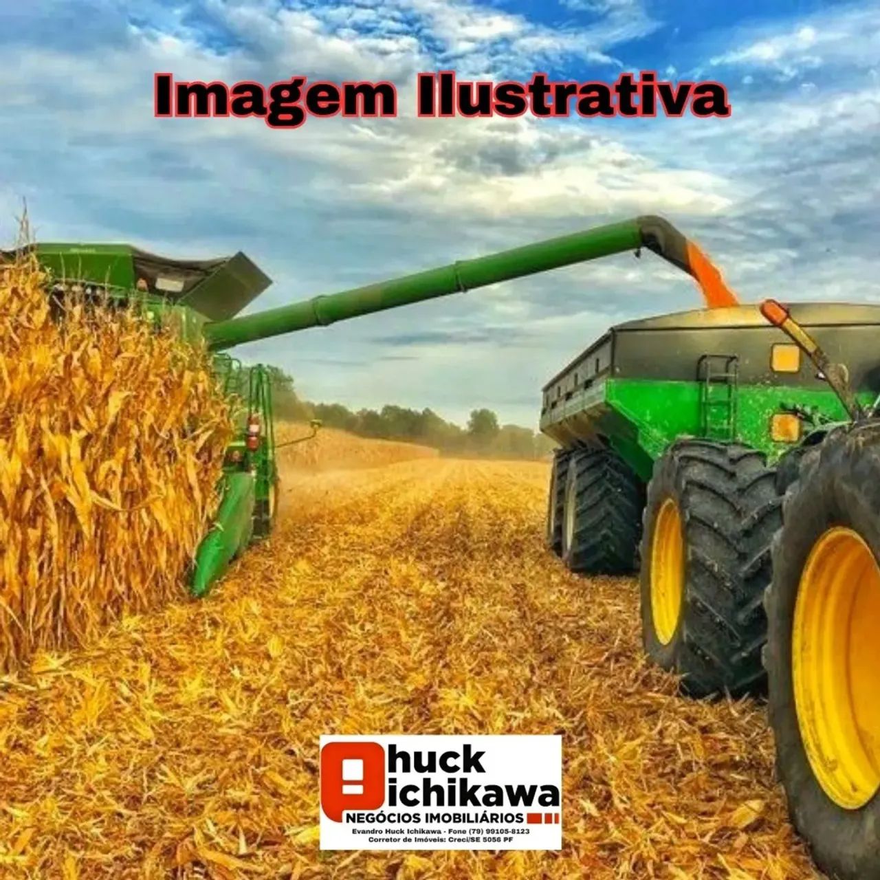FAZENDA - ARRENDAMENTO de MILHO - Foto 3