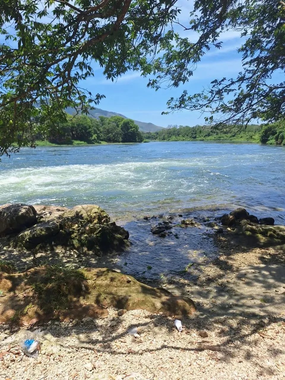 sítio com 14.000m² - Foto 10