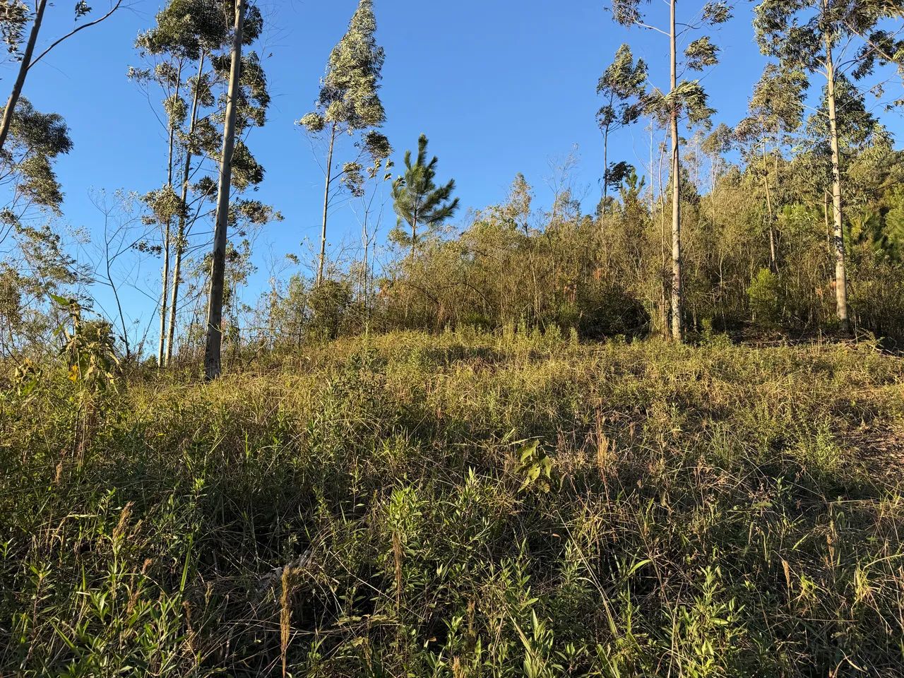 ANITÁPOLIS/SC - Terreno para sítio com 3 hectares 