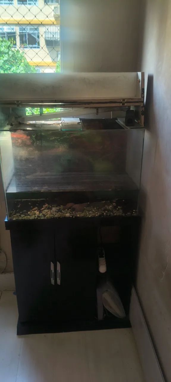 Aquário 100 Litros