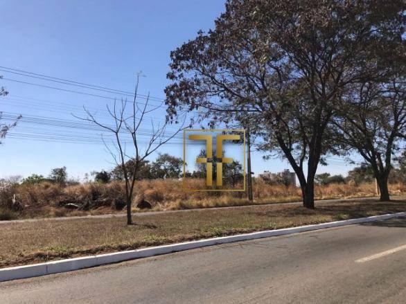 Área à venda, 18.826.77 m², Av. Rio Verde - Foto 6