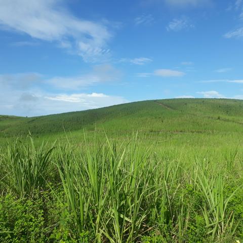 Vendo propriedade 40 km de Maceió - Foto 5