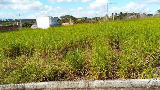 Lotes em Eunápolis, loteamento pronto pra morar, venda avista ou parcelada aproveite!! - Foto 3